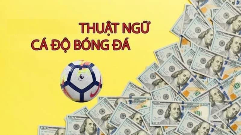 thuật ngữ cá độ bóng đá Thuật ngữ cá độ bóng đá là gì?