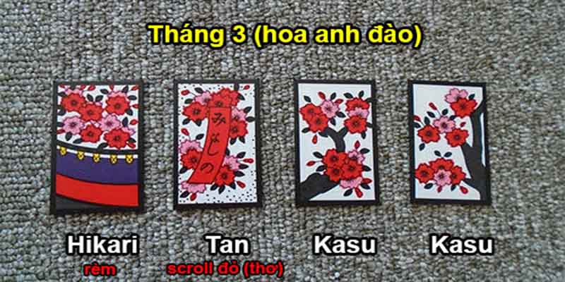 Cách Chơi Bài Hoa Đúng Chiến Thuật, Dễ Thắng Cho Người Mới 1 cach choi bai hoa