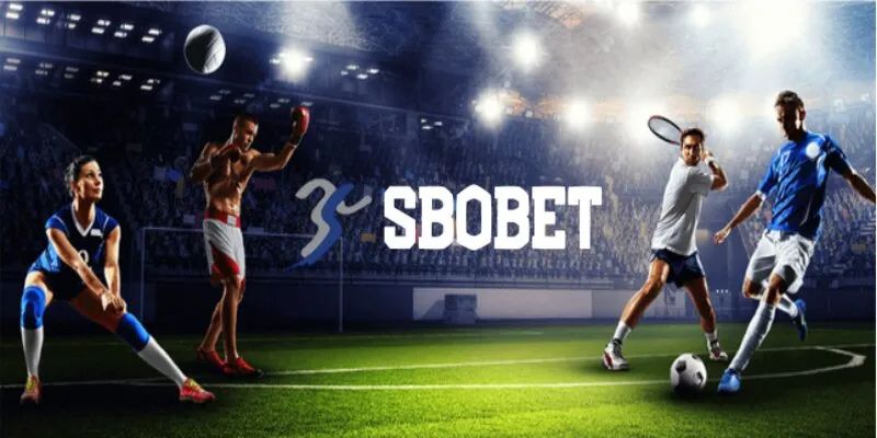 Sbobet VVVwin – Nhà Cái Cá Cược Hay Mới Nhất Trong 2025 1 sbobet vvvwin add